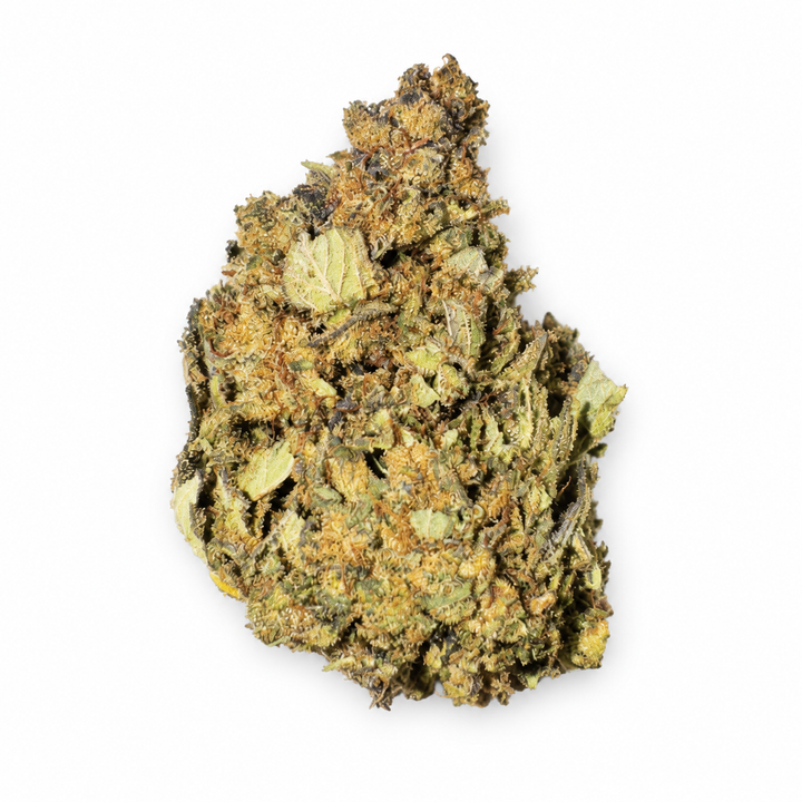 DREAD BREAD (THCA)